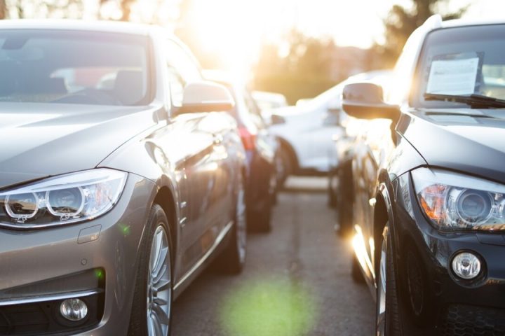 2025 MTV Oranı Ne Kadar Oldu